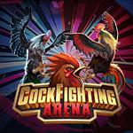 Cockfighting Arena KM